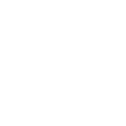 Burnham Juniors FC badge